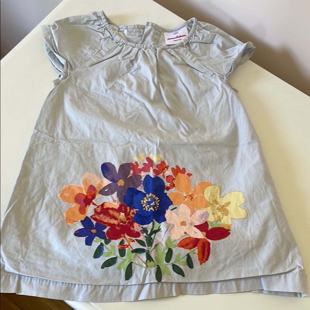 Hanna Andersson Light Gray Dress